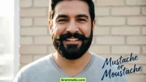Mustache or Moustache