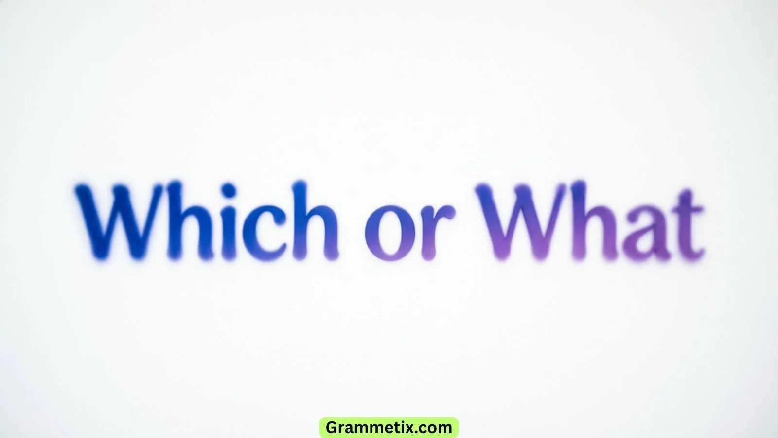 Which or What